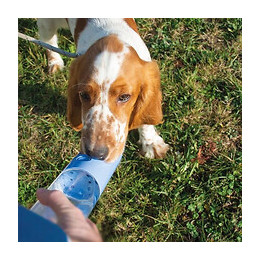 Duvo+ Chien Bouteille Deau Rose 28,5x6,5x6,5cm 0,18kg