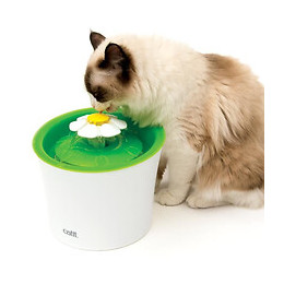 Fontaine A Fleur Pour Chat Catit Senses 2.0