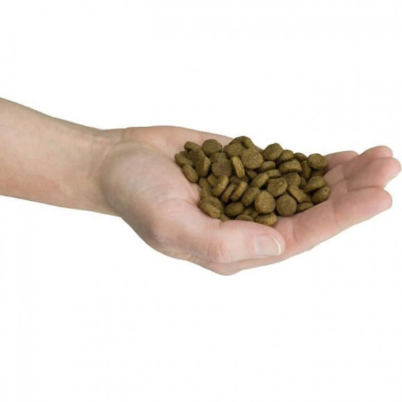 Paleocroq Croquettes Adulte Petite Race Par Demavic - 2 Kg - Pour Chien