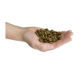 Paleocroq Croquettes Adulte Petite Race Par Demavic - 2 Kg - Pour Chien