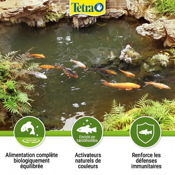 Tetra Aliment Complet Pond Variety Sticks - Pour Poisson De Bassin - 25l