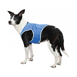 Veste Rafraîchissante Taille Xl Pour Chien. - Trixie - Tr-301345