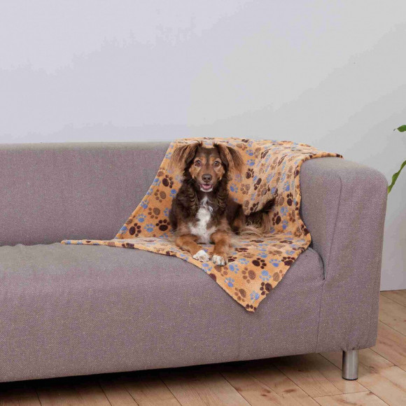 Couverture Beige Laslo Pour Chien. 100 X 70 Cm - Trixie - Tr-37202