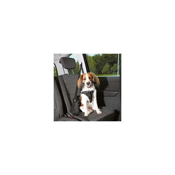 Harnais Pour Voiture Dog Comfort S-m Pour Chien - Trixie - Tr-12855