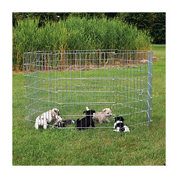 Enclos Pour Chiots,taille:  Ø 154 X 91 Cm - Trixie - Tr-3954