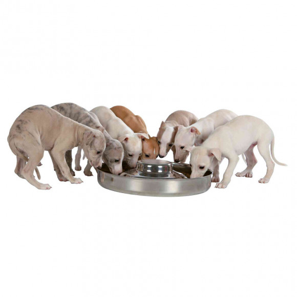 Écuelle Pour Chiots,  Ø 38 Cm. 4 Litres, Pour Chien. - Trixie - Tr-25282