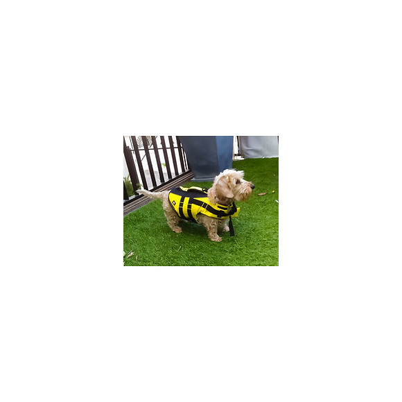 Gilet De Flottaison Ou Sauvetage, Taille Xs, Pour Chien Max 12 Kg. - Trixie - Tr-30125