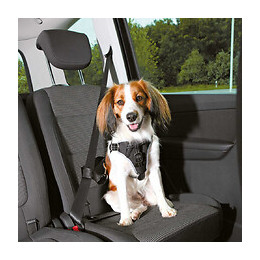 Harnais Pour Voiture Dog Comfort L Pour Chien - Trixie - Tr-12857