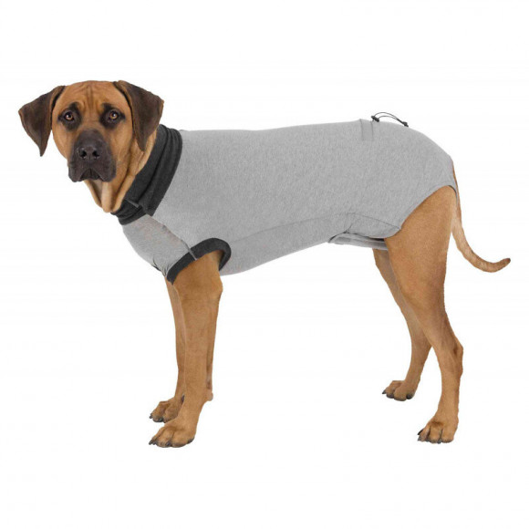 Body De Protection Taille L-xl Pour Chiens - Trixie - Tr-19538