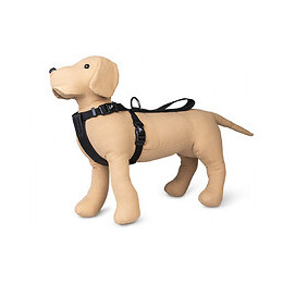 Harnais Et Ceinture De Sécurité Voiture. Taille S. Pour Chien. - Vadigran - Va-16830