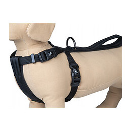 Harnais Et Ceinture De Sécurité Voiture. Taille M. Pour Chien. - Vadigran - Va-16831