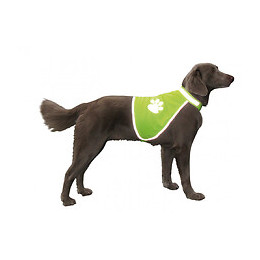 Gilet De Sécurité Taille S. 50 Cm Pour Chien - Nobby - Va-78314