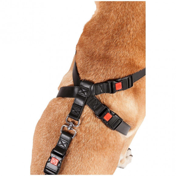 Harnais De Sécurité Voiture Pour Chien. Taille L / 50-70 Cm. Pour Chien. - Flamingo Pet Products - Fl-1032111