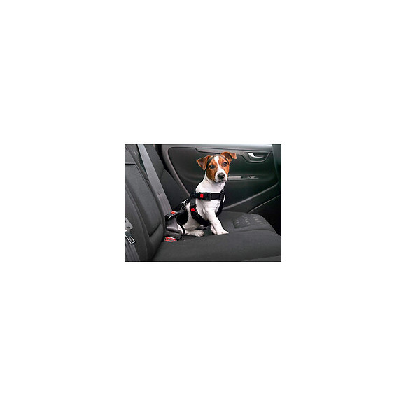 Harnais De Sécurité Voiture Pour Chien. Taille L / 50-70 Cm. Pour Chien. - Flamingo Pet Products - Fl-1032111
