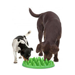 Gamelle Plateau Anti Glouton. 29 Cm Pour Chien - Flamingo Pet Products - Fl-44100