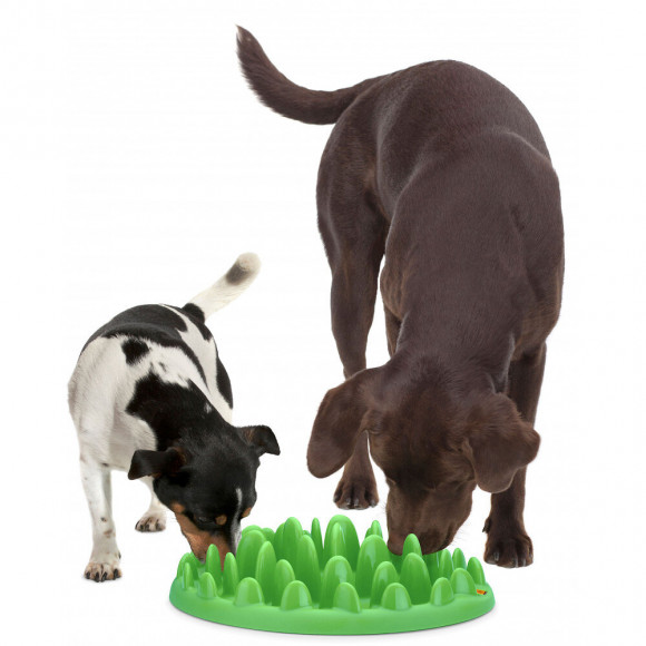 Gamelle Plateau Anti Glouton. 29 Cm Pour Chien - Flamingo Pet Products - Fl-44100