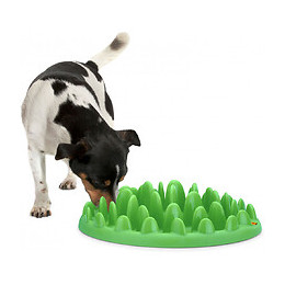 Gamelle Plateau Anti Glouton. 40 Cm Pour Chien - Flamingo Pet Products - Fl-44079