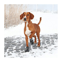 Bottes De Protection Walker Active. Taille: M. Pour Chien. - Trixie - Tr-19463