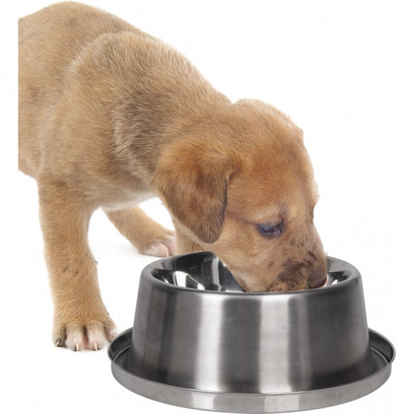 Gamelle Rafraichissante Ø 16 Cm. 840 Ml. Pour Chien - Flamingo Pet Products - Fl-515313