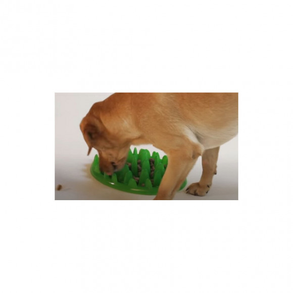 Gamelle Plateau Anti Glouton. 40 Cm Pour Chien - Flamingo Pet Products - Fl-44079