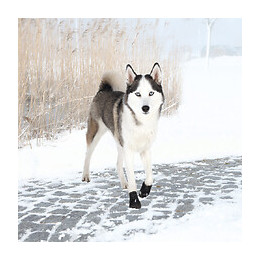 Bottes De Protection Walker Active. Taille: L-xl. Pour Chien. - Trixie - Tr-19466