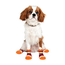 Chaussettes Chaude  Antidérapante 1 Paire Taille S Pour Chien - Karlie - Fl-514611