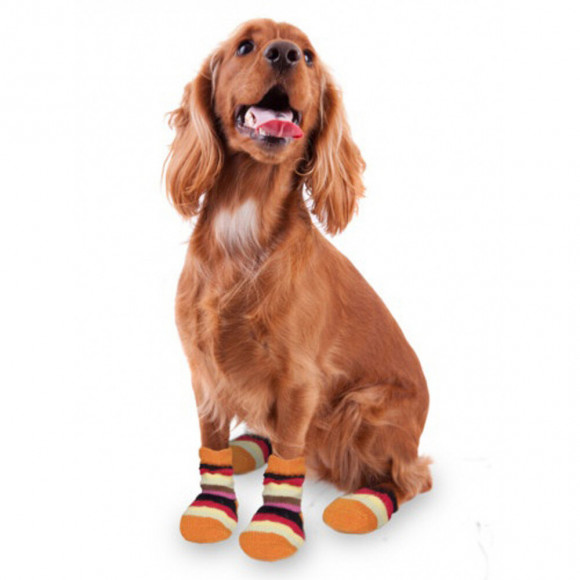 Chaussettes Chaude  Antidérapante 1 Paire Taille S Pour Chien - Karlie - Fl-514611