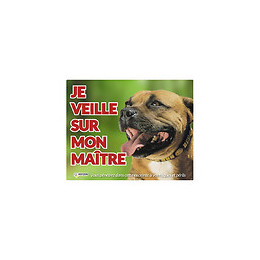 Panneau Photo Pour Chien Staffordshire Bull - Vadigran - Va-12501
