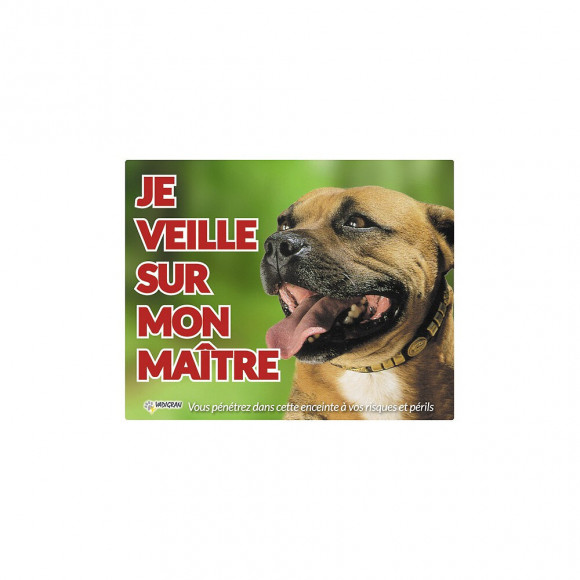 Panneau Photo Pour Chien Staffordshire Bull - Vadigran - Va-12501