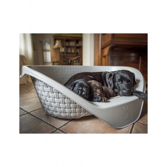 Panier Aspect Rotin 75 X 55 X 26 Cm H Pour Chien Gamme Nido. Couleur Gris Clair - Bama Pet - Fl-517631