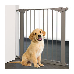 Barrière De Sécurité Salus Grise.  De 79-84 Cm X 76 Cm. Pour Chien - Flamingo Pet Products - Fl-520025