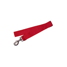 Laisse Nylon Xl. Longueur 60 Cm . Couleur Rouge.  Laisse Pour Chien - Zolux - Zo-463624r