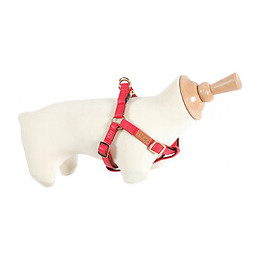 Harnais Imao Mayfair. 25 Mm Rouge Pour Chien. - Zolux - Zo-466773rge