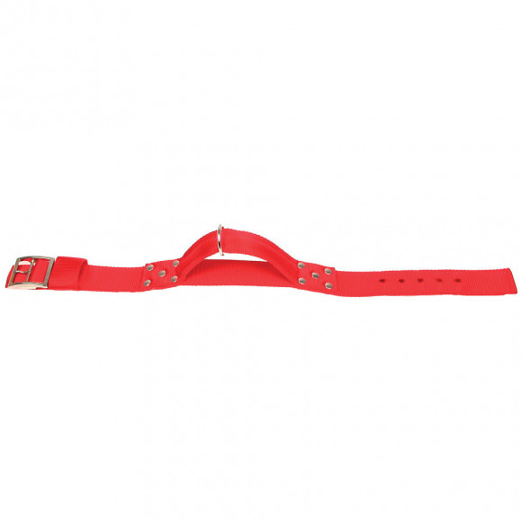 Collier Nylon Avec Poignée T 65. Rouge Pour Chien. - Zolux - Zo-463681r