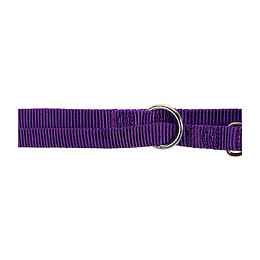 Laisse Réglable Pour Chien. Taille Xs.   Couleur Violet. - Trixie - Tr-201321