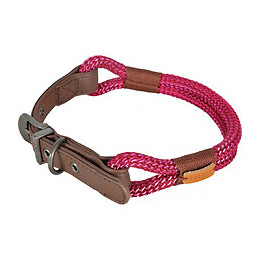 Collier Imao Hyde Park.  11 Mm X 60 Cm. Fuchsia . Pour Chien. - Zolux - Zo-466779fus