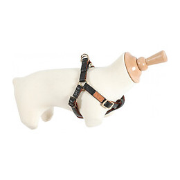 Harnais Imao Mayfair. 15 Mm Couleur Noir Pour Chien. - Zolux - Zo-466771noi