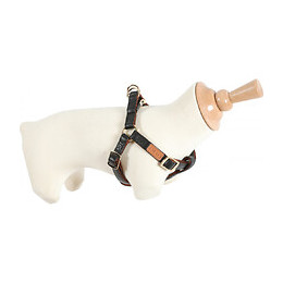 Harnais Imao Mayfair. 15 Mm Couleur Noir Pour Chien. - Zolux - Zo-466771noi