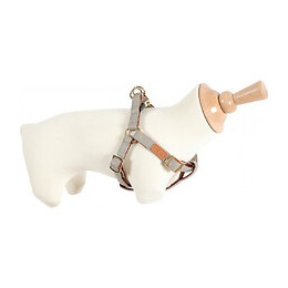 Harnais Imao Mayfair. 25 Mm. Tour De Poitrail De 70 À 100 Cm. Couleur Taupe. Pour Chien. - Zolux - Zo-466773tau