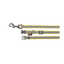 Collier  22 À 33 Cm X 10 Mm Pour Petit Chien Avec Laisse, Très Réfléchissant - Trixie - Tr-15373