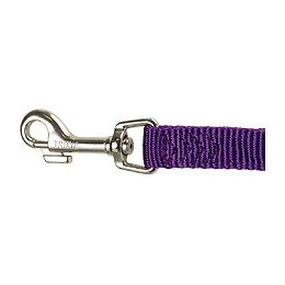 Laisse Réglable 2 Mètre Pour Chien. Taille Xs- S. Couleur Violet. - Trixie - Tr-200421