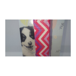 Laisse Puppy Pixie. 13 Mm . Longueur 1,20 M. Couleur Rose. Pour Chiots - Zolux - Zo-466745ros
