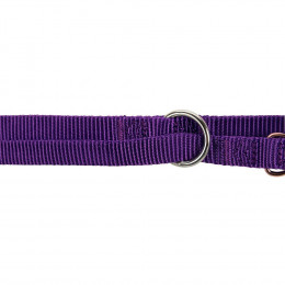 Laisse Réglable 2 Mètre Pour Chien. Taille Xs- S. Couleur Violet. - Trixie - Tr-200421