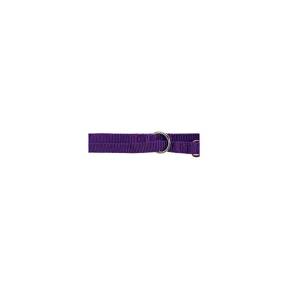 Laisse Réglable 2 Mètre Pour Chien. Taille Xs- S. Couleur Violet. - Trixie - Tr-200421