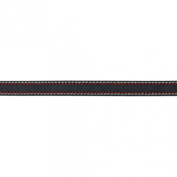 Collier Cuir. Taille  S.  Couleur Anthracite. Dimensions: 31-37 Cm/15 Mm.  Pour Chien - Trixie - Tr-17915