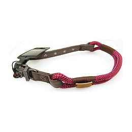 Collier Imao Hyde Park.  9 Mm X 50 Cm. Fuchsia . Pour Chien. - Zolux - Zo-466778fus