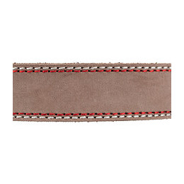 Collier Cuir. Taille  M-l.  Couleur Cappuccino. Dimensions: 39-47 Cm/20 Mm.  Pour Chien - Trixie - Tr-17927