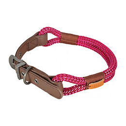 Collier Imao Hyde Park.  9 Mm X 50 Cm. Fuchsia . Pour Chien. - Zolux - Zo-466778fus