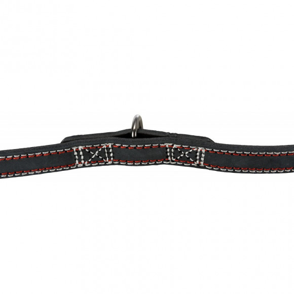 Laisse De 2 M En Cuir. Taille S-m. Réglable.  Pour Chien, Couleur Anthracite. - Trixie - Tr-17912