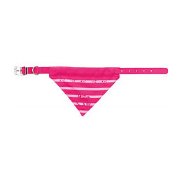Collier Bandana Taille M. Couleur Fuschia.  Pour Chien. - Trixie - Tr-30913